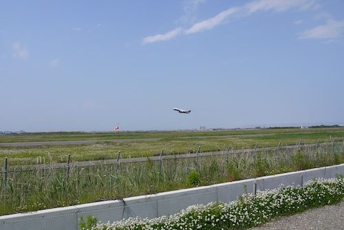 臨空公園3