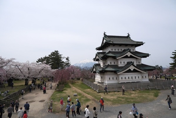 DSCF9532