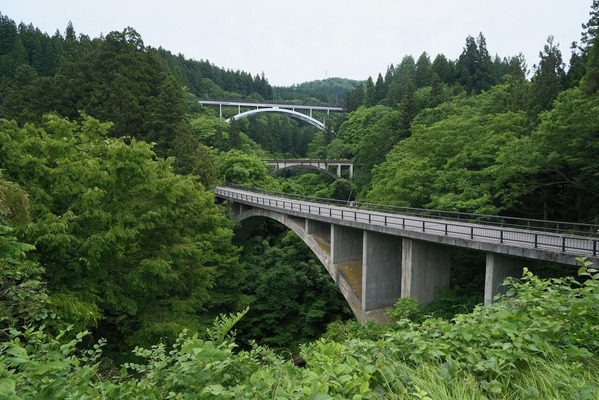 DSCF7332