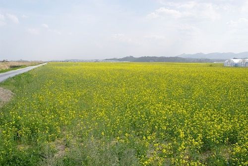 IMGP5498