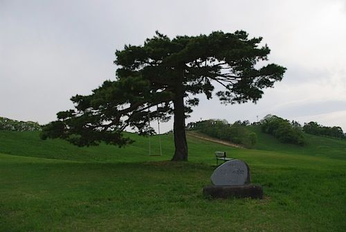 IMGP5652