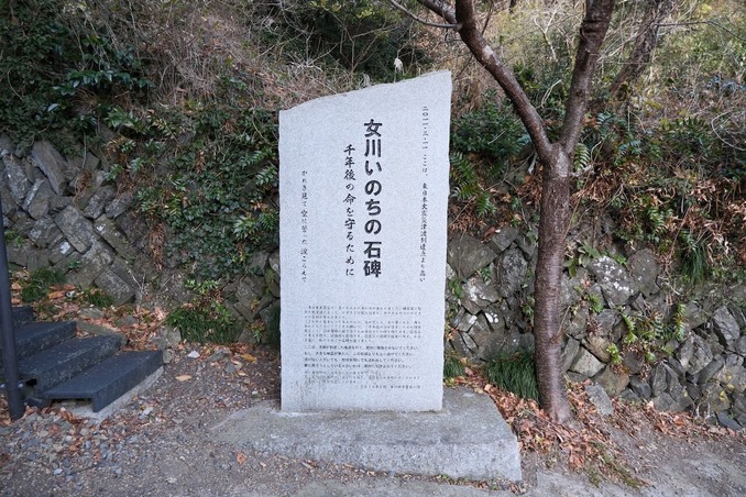 DSCF7168