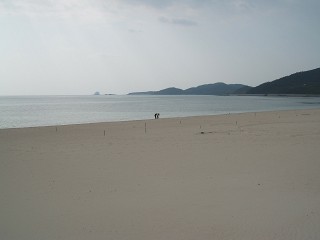 ������20070131