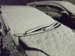 雪1221