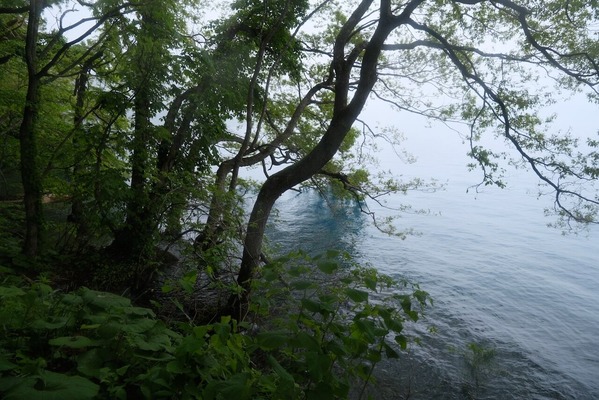 DSCF7262