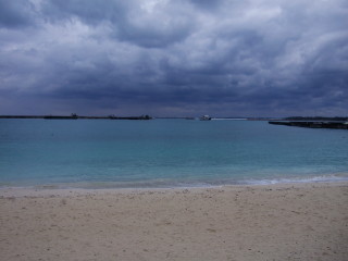 �ѥ��ʥ��ޥӡ���