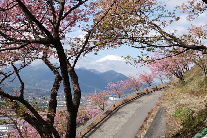 DSCF0819