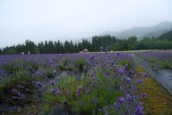 DSCF0444