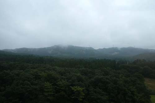 DSCF8121