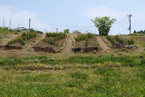 P1030781
