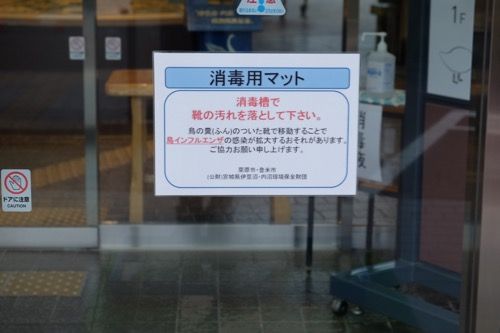 DSCF9258