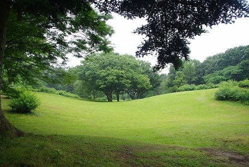 野草園1