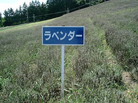DSCF1496