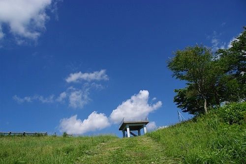 IMGP6143