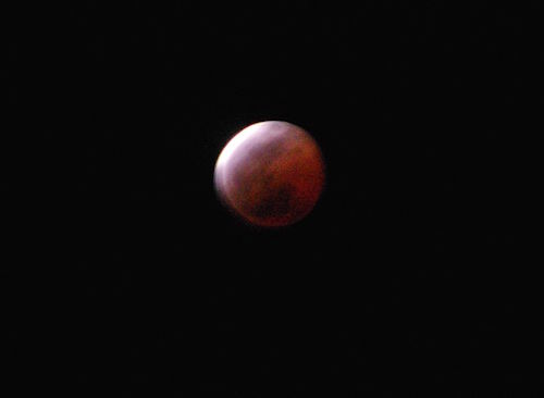 IMGP2689