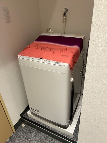 IMG_3106