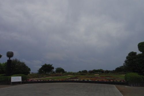 IMGP5281