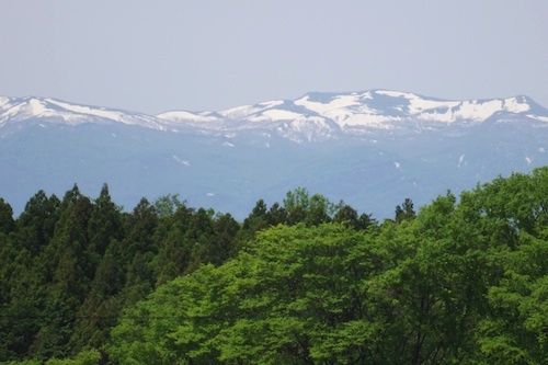 IMGP2713