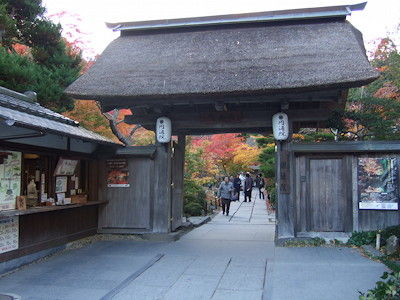 円通院