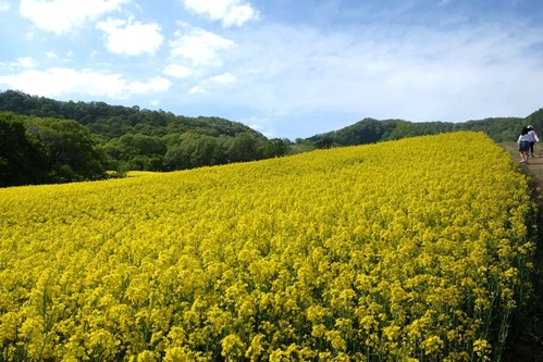 DSCF8098