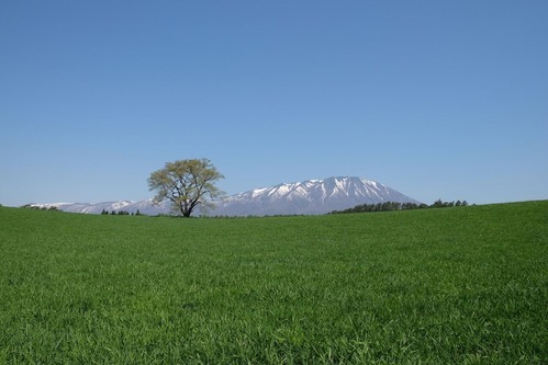 DSCF0675