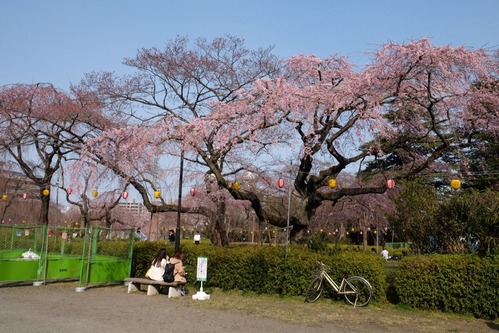 DSCF6424