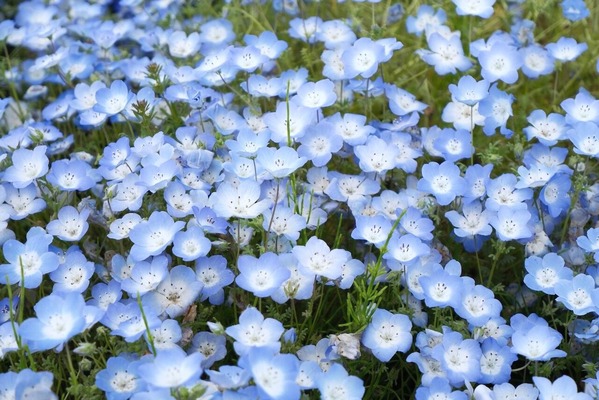 DSCF9819