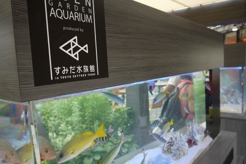 すみだ水族館3