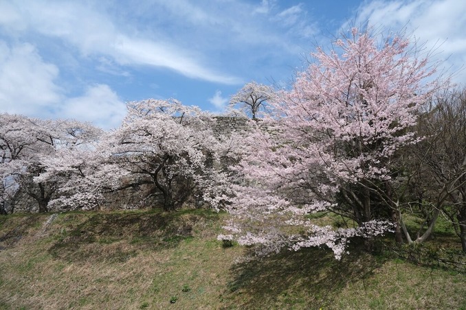 DSCF2040