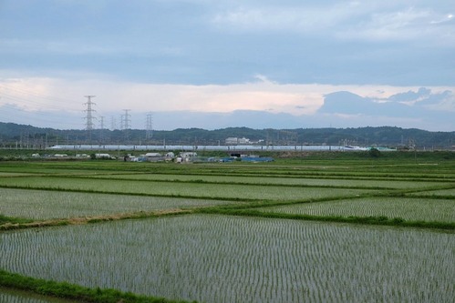 DSCF8349
