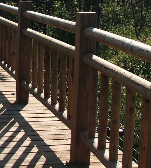 DSCF3914�Υ��ԡ�