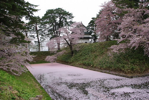 弘前2