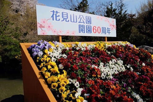 DSCF6806