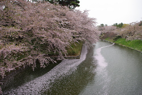 弘前1