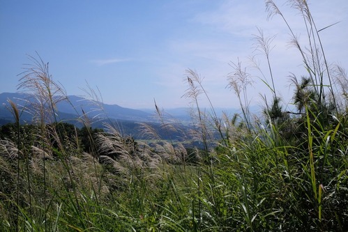 DSCF6771