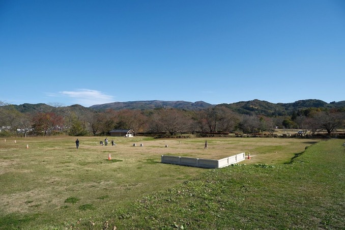 DSCF5972