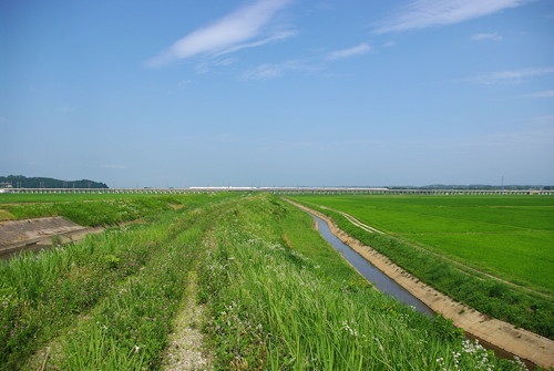 大和町
