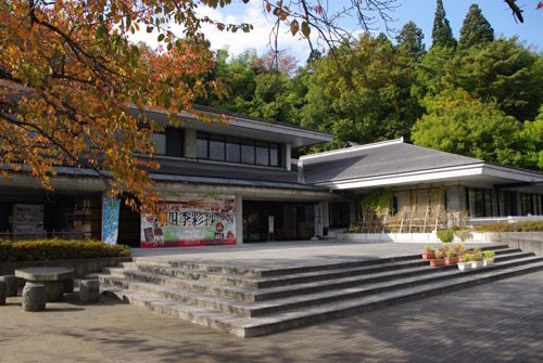 IMGP8249