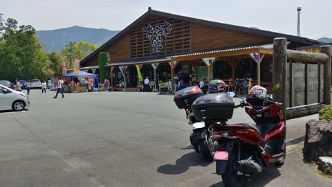 20190503_114816_HDR