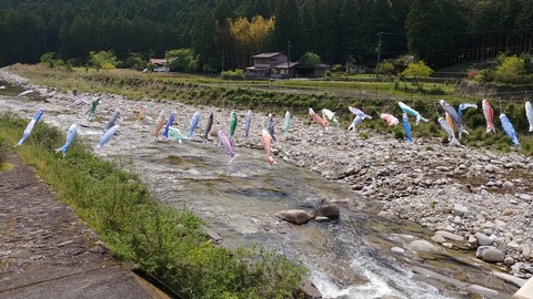 20190503_141823