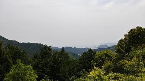 20190503_123110_HDR