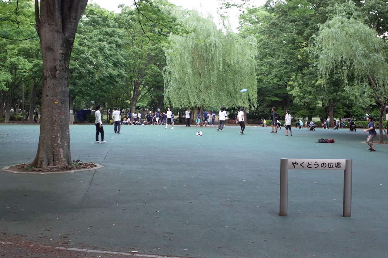 都立戸山公園 Lover Society