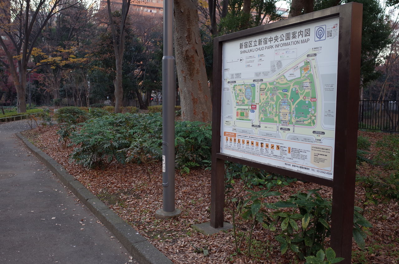 新宿中央公園 Lover Society