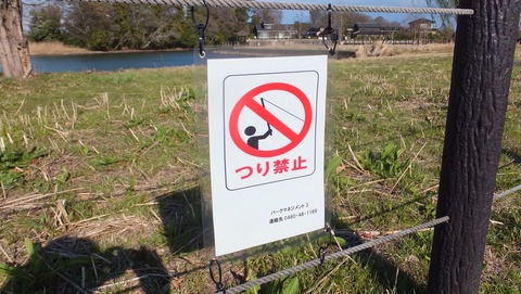 地域別 Rod Test釣行 10 地元 4 高須賀池 試製 Bassrod Third