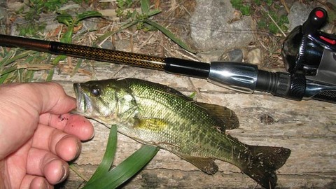 地域別 Rod Test釣行 13 地元 5 柴山沼 試製 Bassrod Third