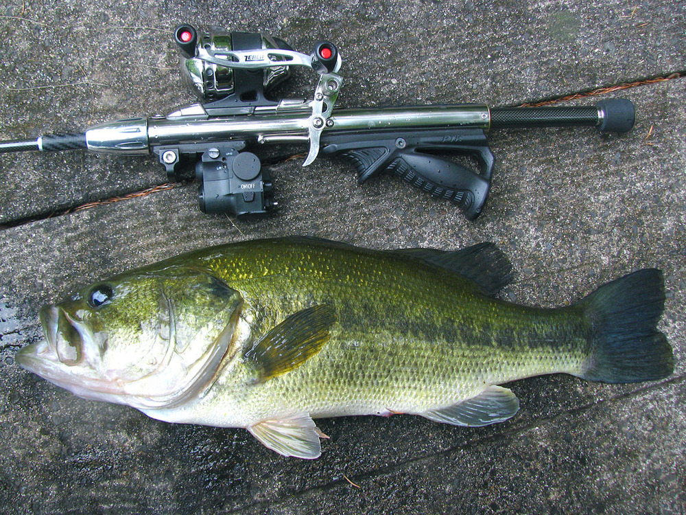 地域別 Rod Test釣行 6 希望湖 試製 Bassrod Third