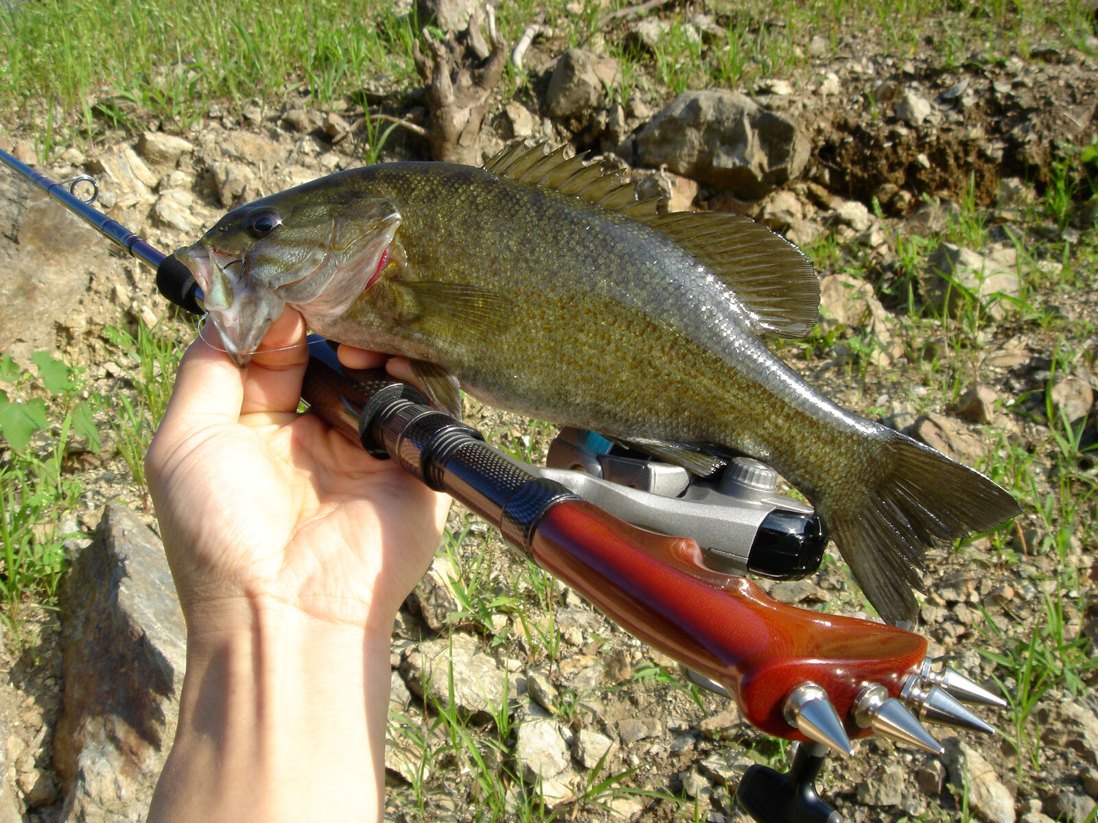 バス Rod ドラグ〜ンタイプ : 試製 BassRod Third