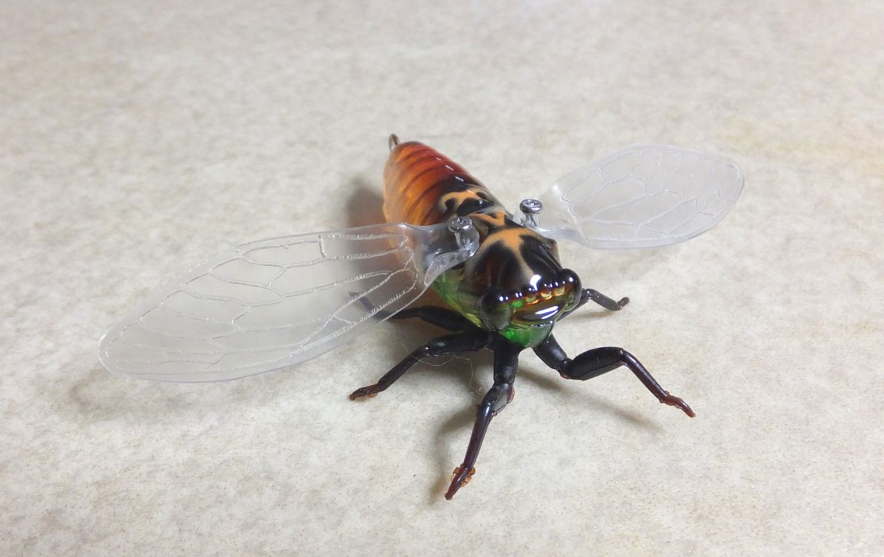 衝動買いのルア Jackson 生蝉 試製 Bassrod Third