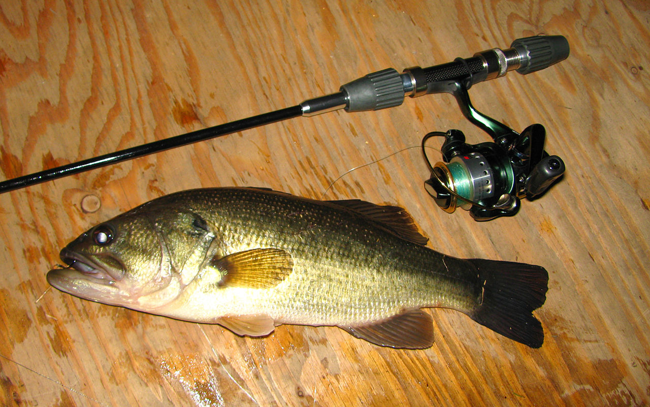 地域別 Rod Test釣行 7 地元 1 丸堀 試製 Bassrod Third 地域別 Rod Test釣行 7 地元 1 丸堀 試製 Bassrod Third