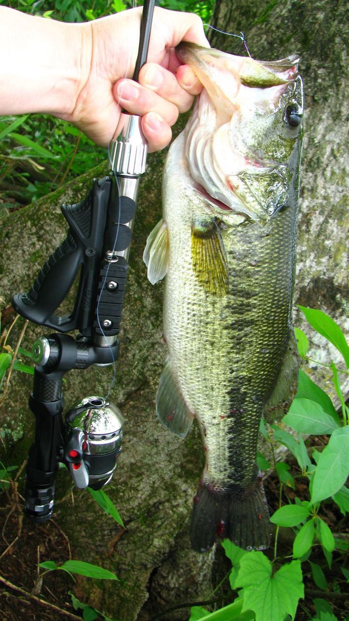 19 信州遠征釣行 希望湖 試製 Bassrod Third